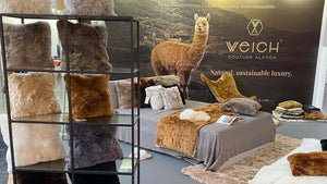 Visual from WEICH Couture Alpaca blog – design insights, alpaca materials & behind the brand stories
