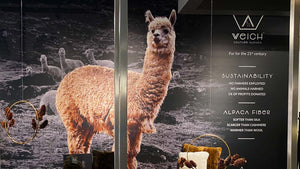 Visual from WEICH Couture Alpaca blog – design insights, alpaca materials & behind the brand stories