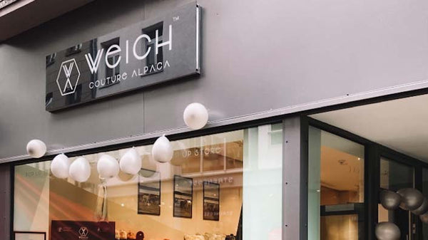 Visual from WEICH Couture Alpaca blog – design insights, alpaca materials & behind the brand stories