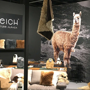 Marketingoffensive bei WEICH Couture Alpaca