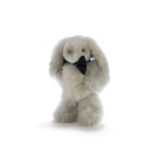 Le lapin MILO