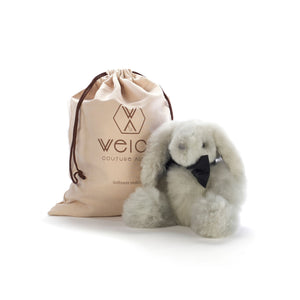 Le lapin MILO